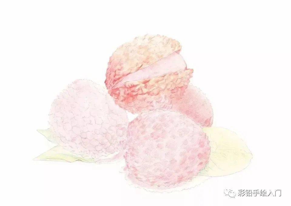 然后把里面的结构也轻轻的地画出来 ▽ 用肉色的彩铅给最上面的荔枝