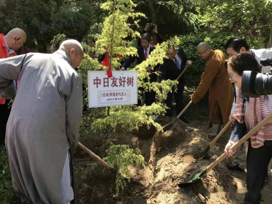日本举行纪念圆仁大师植树活动黄檗文化人士参加