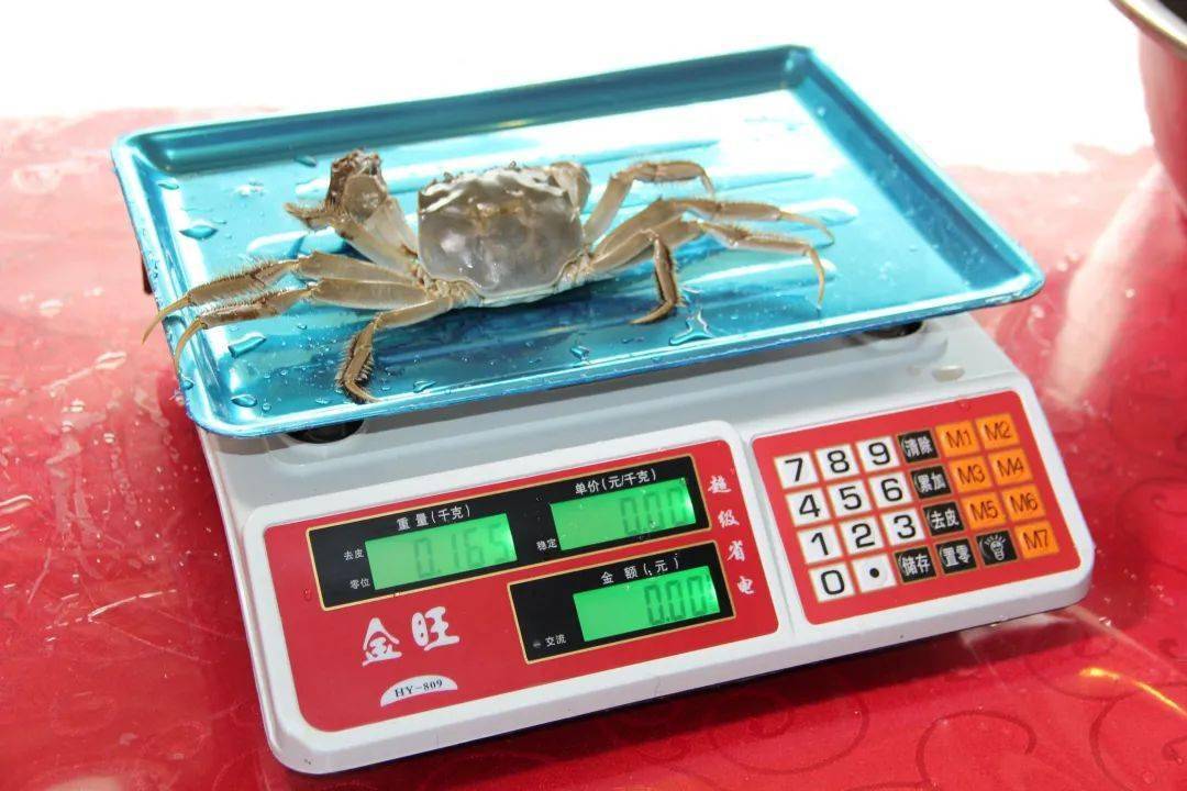 所有人|阳澄湖大闸蟹可以提现货啦~@所有人
