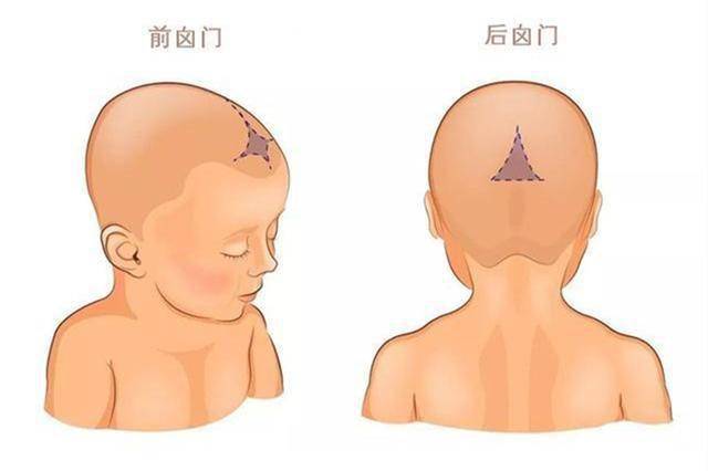 照顾不足百天的新生宝宝有几个部位不能瞎碰新手爸妈千万忍住