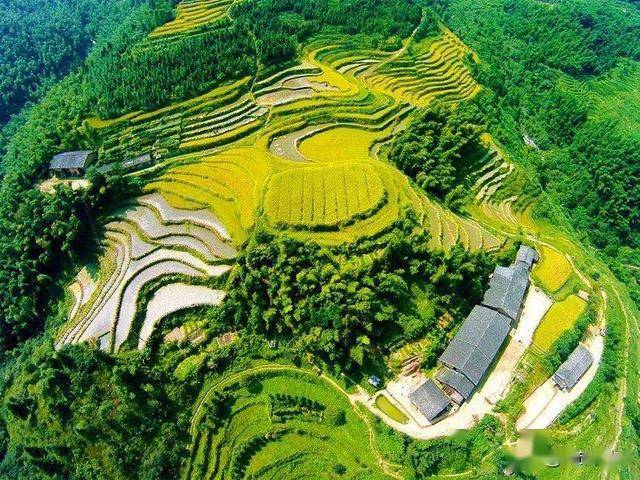 国内最美梯田风景江西遂川桃源梯田