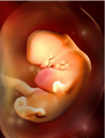 d3c92f1779ef425d8efffd5cff202404.png