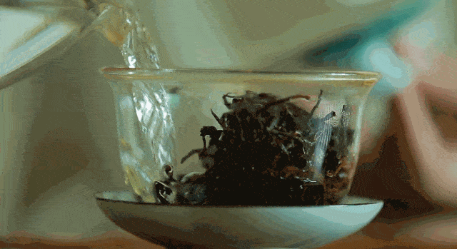 味道|你泡的茶 水的味道重吗?