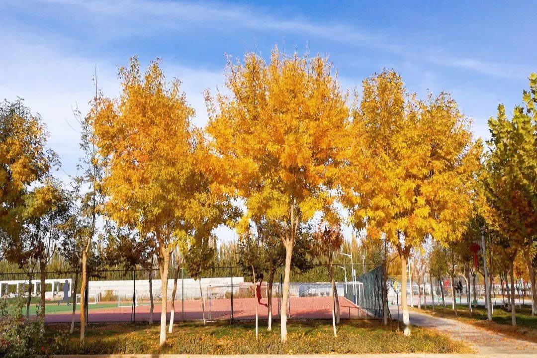 绍兴高三2020届Z20考排名_绍兴一中举行2021届高三启动仪式:2020届毕业生代表