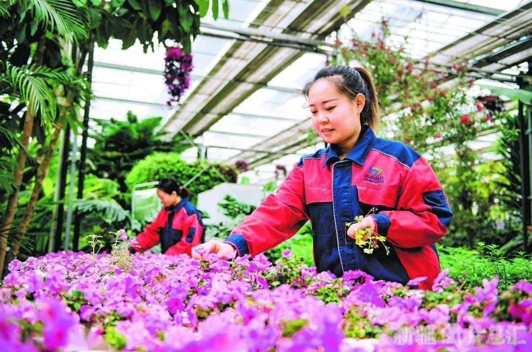 昌吉区人口_昌吉政区图(2)