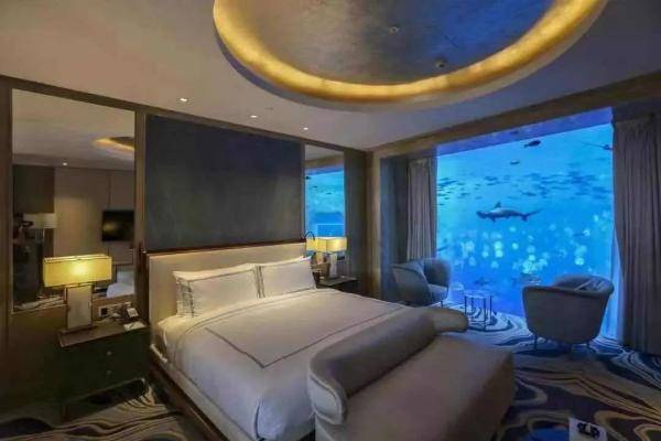 市场运行情况|海南：8天！453.78万人次！66.2亿元！