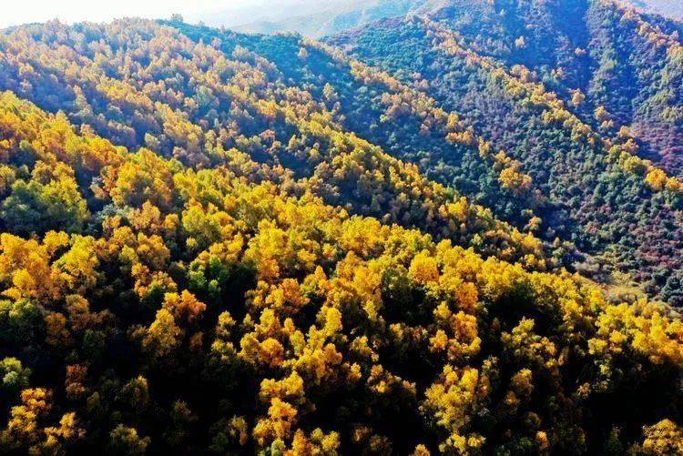 国庆期间,云谷川秋景刷爆朋友圈!