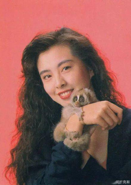 傅菁|美人计 | 赵小棠撞脸王祖贤?真的假的