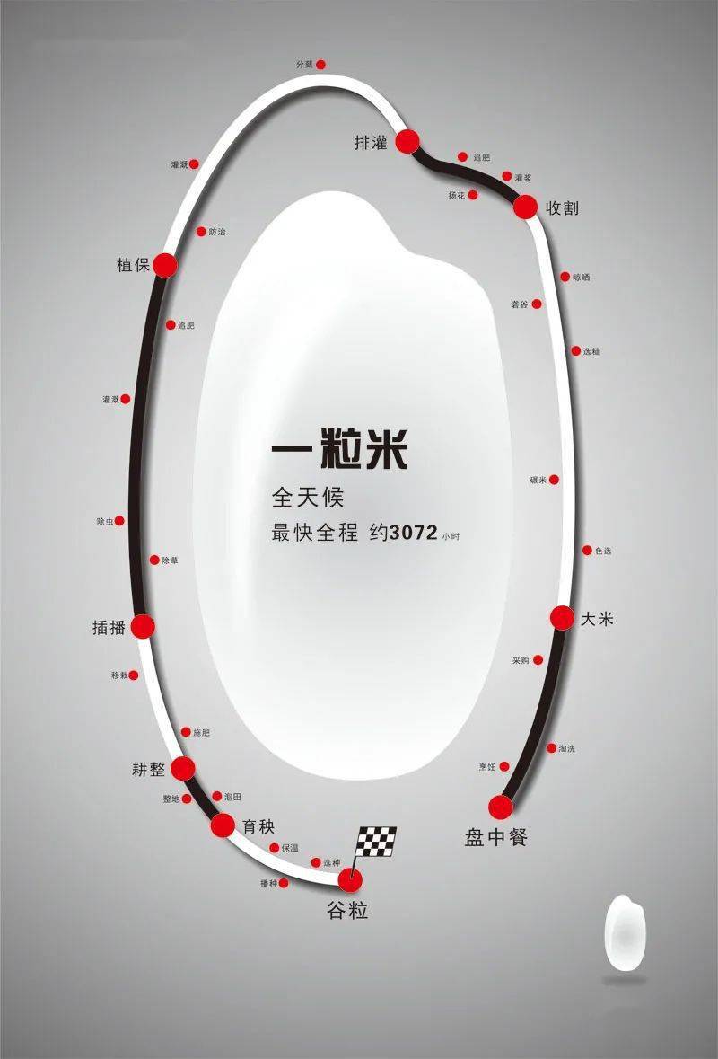 【公益广告】一粒米:全天候 最快全程约3072小时