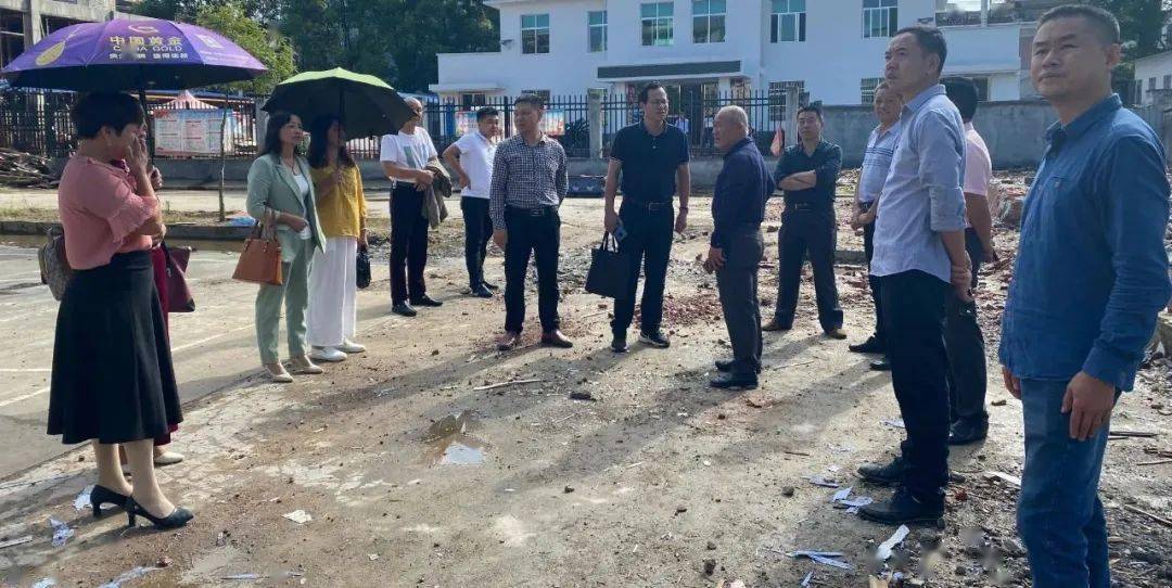 代表履职 | 土桥镇:人大代表视察民生实事项目