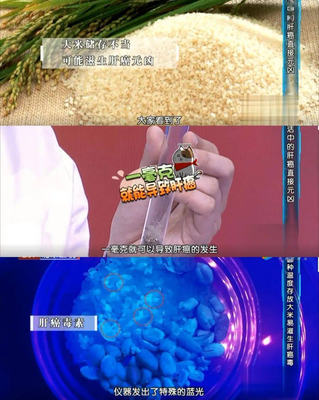 保鲜|如何正确健康的收纳食物？看这里