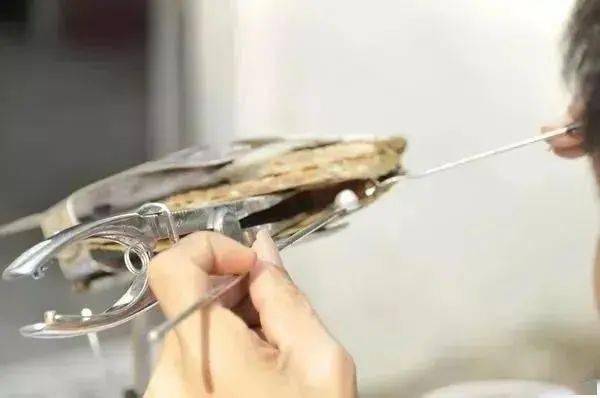 宝姐|这个秋天，你离时髦只就差这一步！速领取！