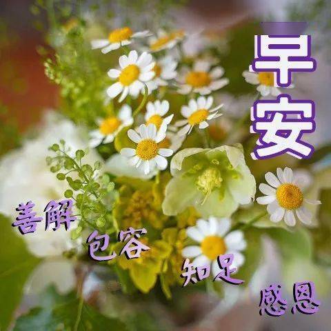 早上好问候问候语暖心,治愈人心的早上好唯美图片