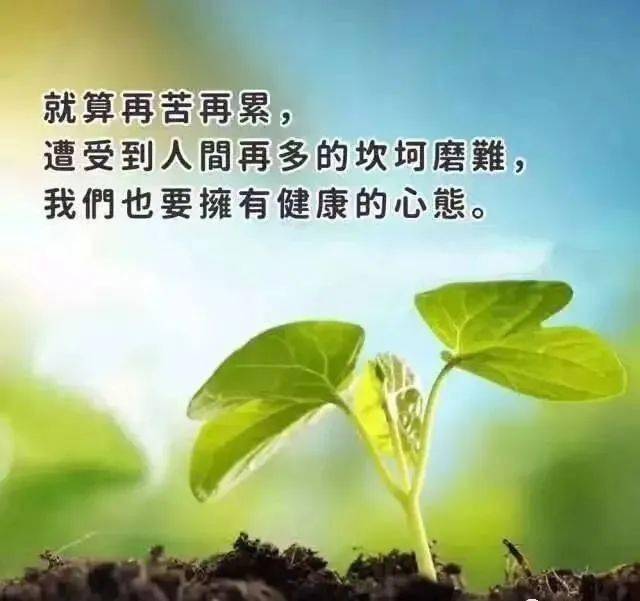 6174fb6ab63440aeb3a23cd13959c4b2.jpeg