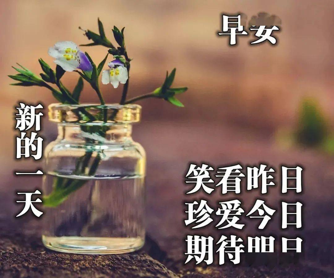 清晨祝福早上好问候语温馨语录 关心问候大家早上好美女动图表情