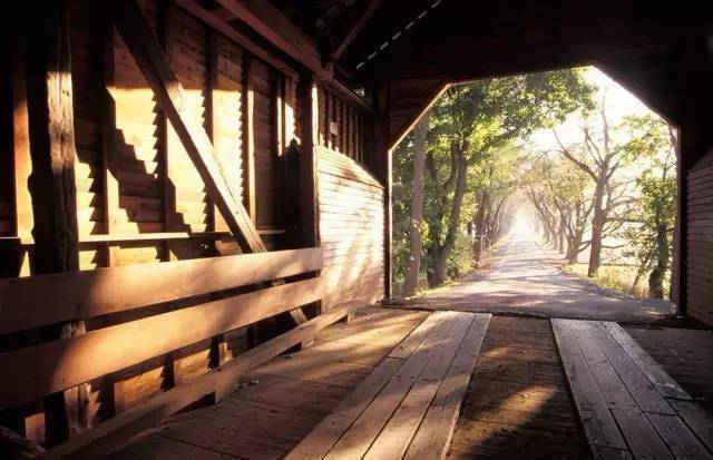 修养|成熟,是人一辈子的修养