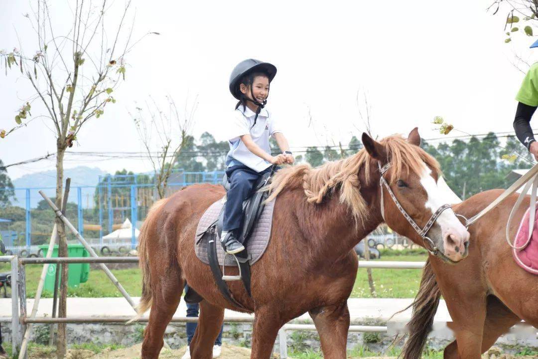 亲子研学1天10月2425日增城优雅小骑士骑马体验马术科普越野车体验