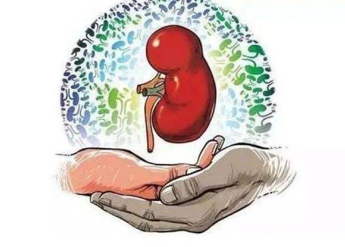 发展|得了肾病，离尿毒症还有多远？内科专家告诉你