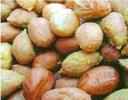 食物|7人身亡！悲剧！一家9口假期聚餐