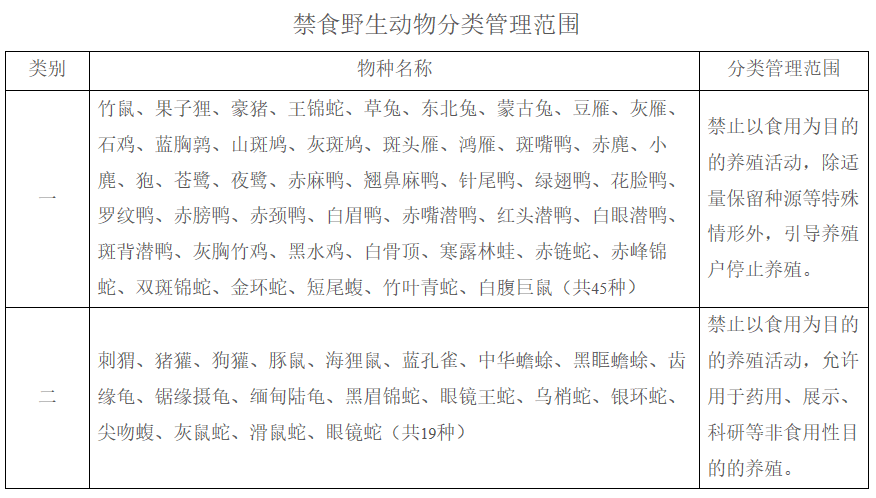 陆龟排行_这些陆龟,不是你想养就能养!(2)