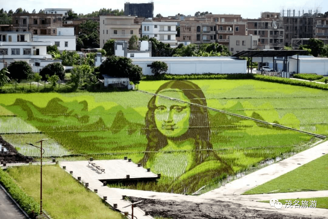 茂名市2020年gdp_茂名市地图