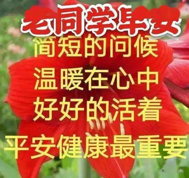 7张最新创意好看老同学早安问候祝福图片精选 老同学早上好问候图片带