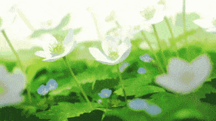 ef9ee551009a4d349ce85a1297b5b97d.gif