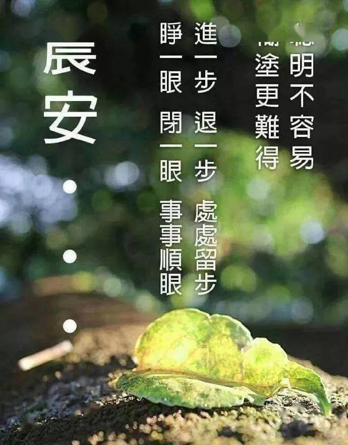 特别漂亮的早上好图片问候语句子 舒心的清晨好早安祝福语录短信