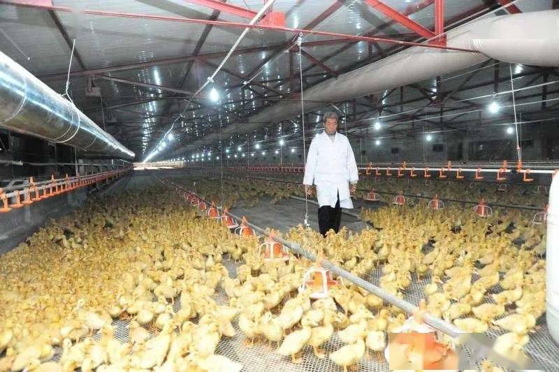 2020年徐州市各县区g_2020年徐州市地图全图(2)