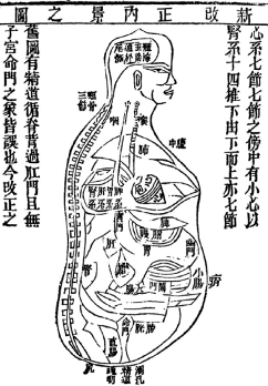 西方|鲁迅为何偏爱“解剖”的隐喻？