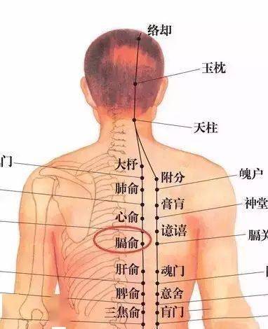 取穴:膈俞,肾俞,次髎,血海,委中,痛点.