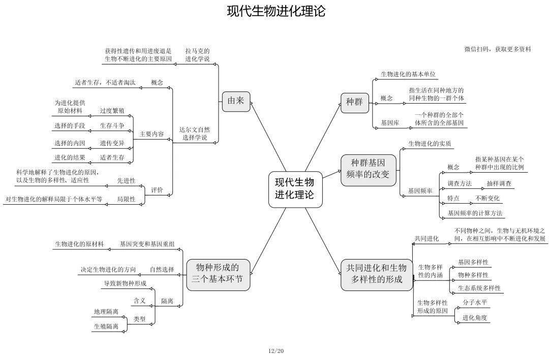 高一地理人口的分布思维导图_高一地理人口思维导图