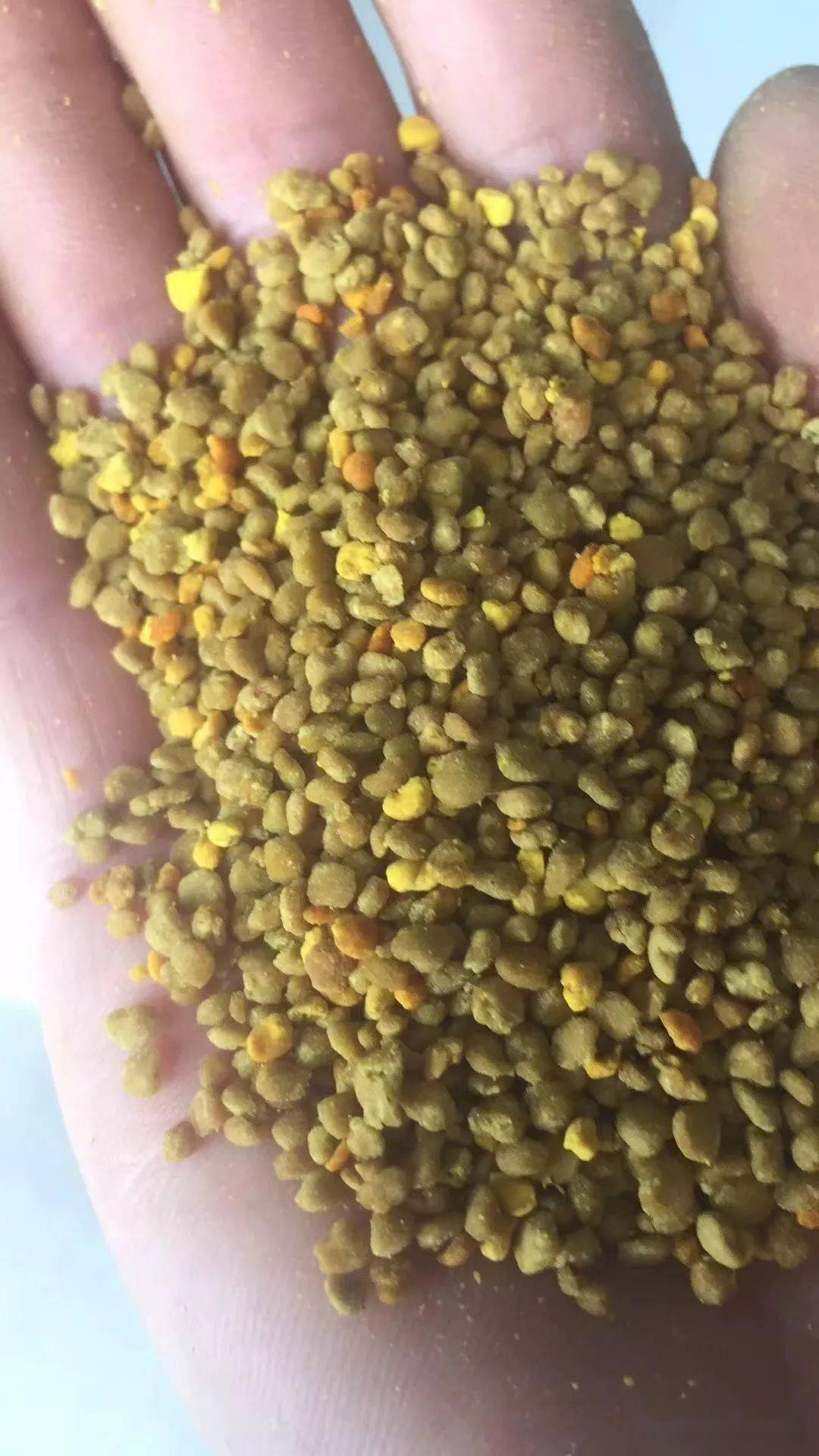 养肝护肝,这些蜂花粉对肝脏好!