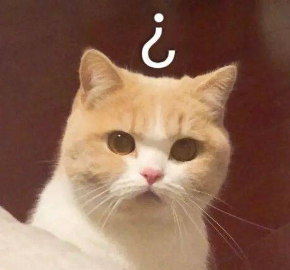 眉毛|跟着抖音学化妆的女生，到底有多惨？