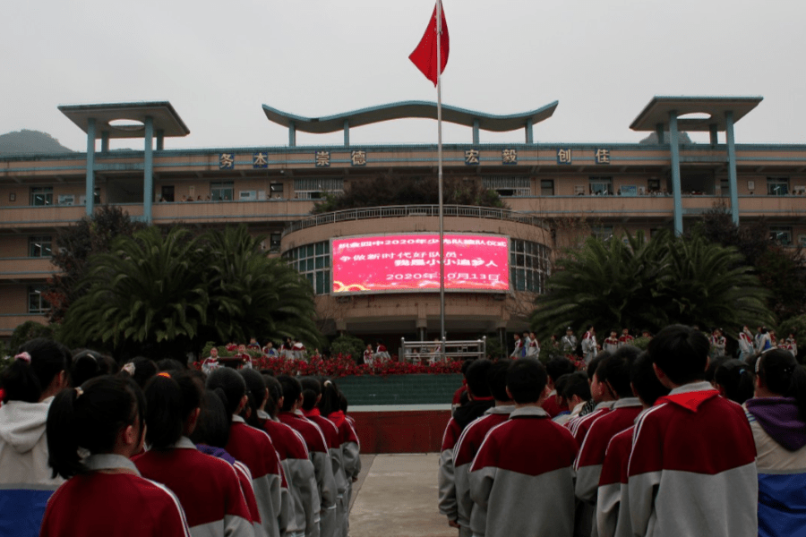 织金县第四中学纳雍县厍东关乡猴场小学03我和队旗合个影赫章县哲庄镇