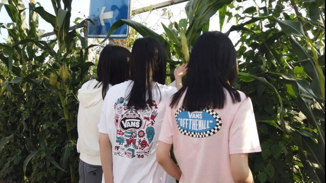 仁科|救命！《乐夏》一结束他们的人设就崩了