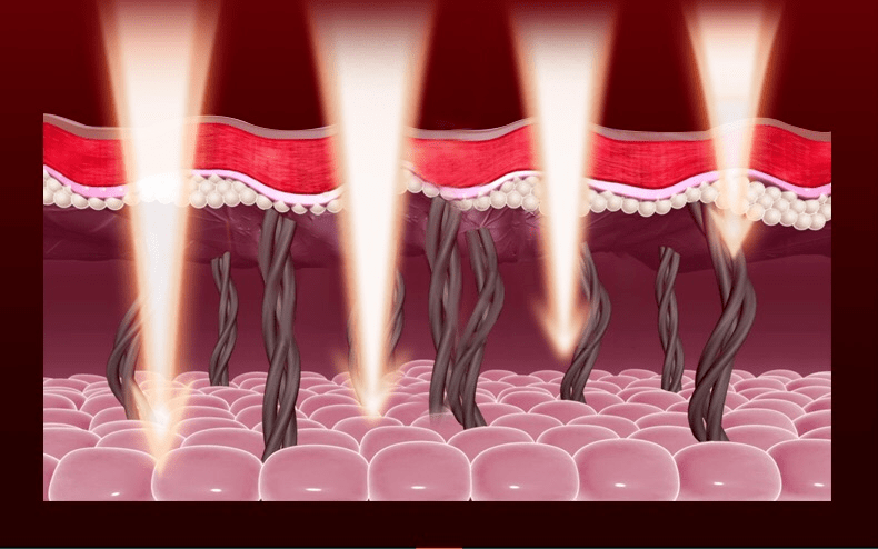 美容|看完《浪姐》，谁不羡慕张雨绮的美貌？！