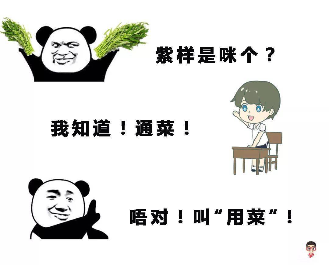 57cc86452257462eac5a6fa30cd71150.jpeg