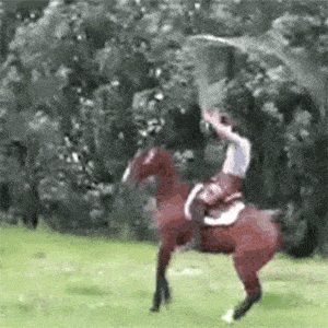 5f1fa2f02a464964890a6b6487b334b1.gif