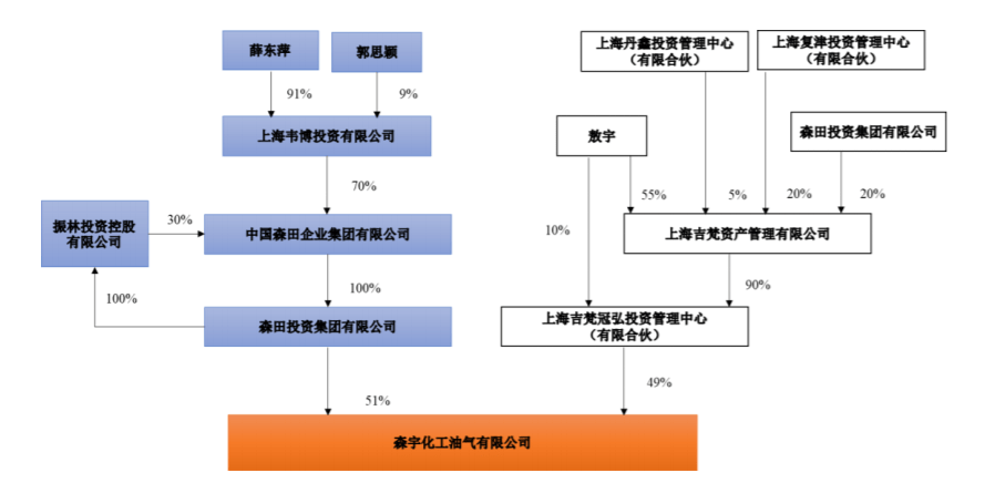 谁是森田?脱胎于央企中电物资 背后女富豪薛东萍起家房地产