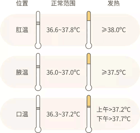 人口正常体温_正常体温图片