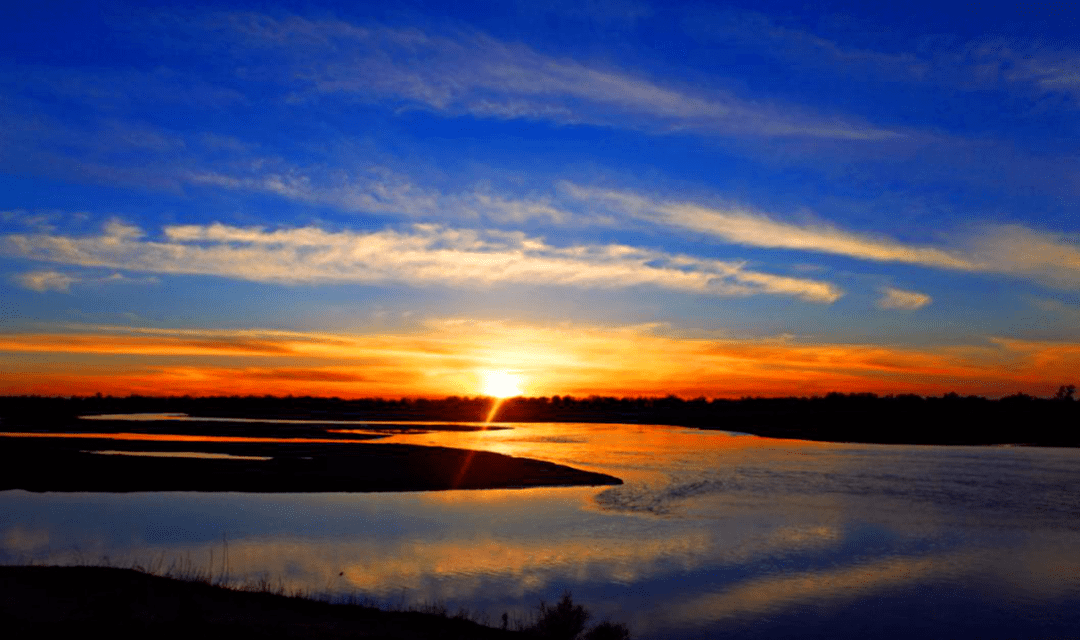 d742c0b19f9a4abba51c3f28f5b7111d.png