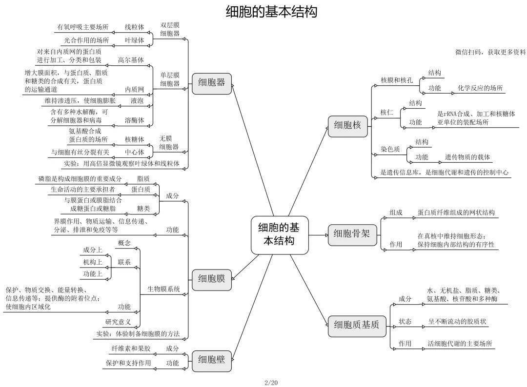 高中生物必修 选修思维导图最全归纳