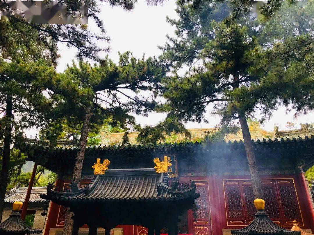 秋天的潭柘寺,是不能不看的风景!