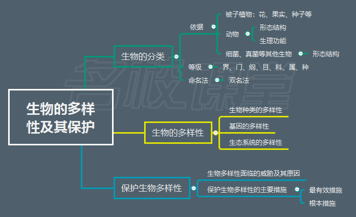 人教版八年级生物上册课本思维导图