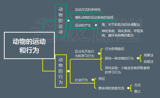 人教版八年级生物上册课本思维导图