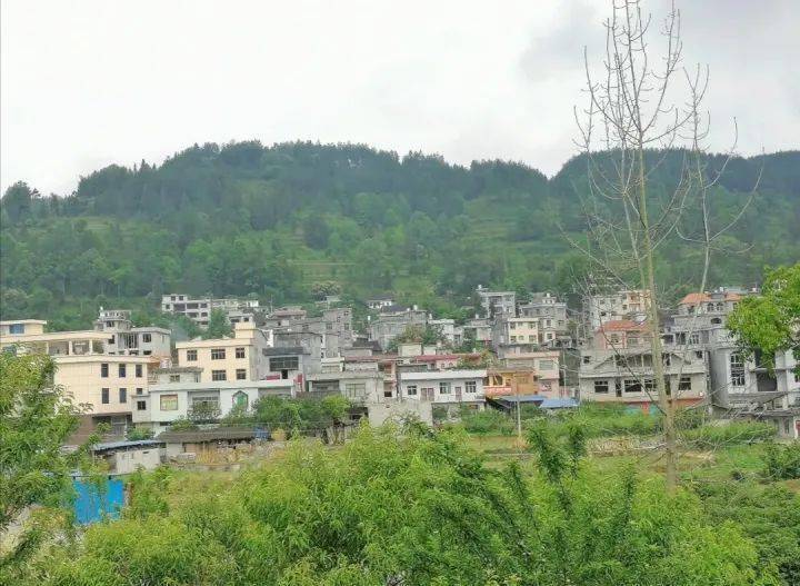 沿河县城常住人口多少_常住人口登记表(3)