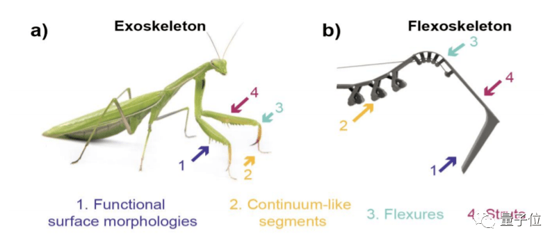 科技softrobotics造仿生昆虫机器人柔性骨骼新技术只需2小时成本不到7