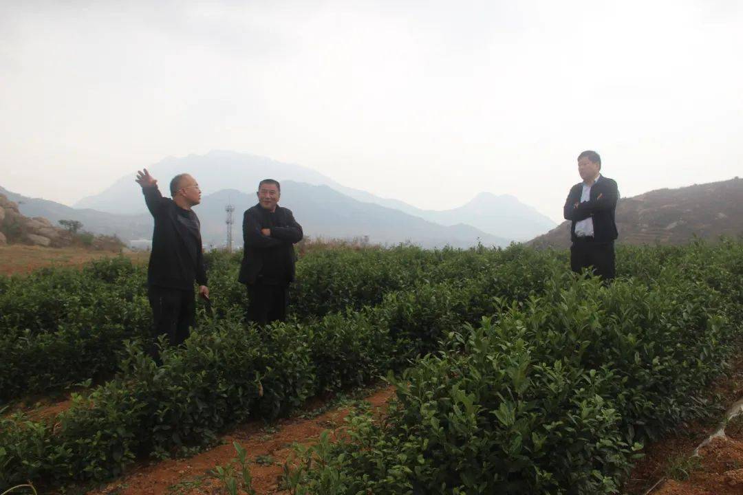 曲谱黄河的源头在哪里