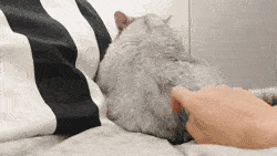 肌肤|空了50瓶身体乳,我总结出了史上最全身体护理指南!